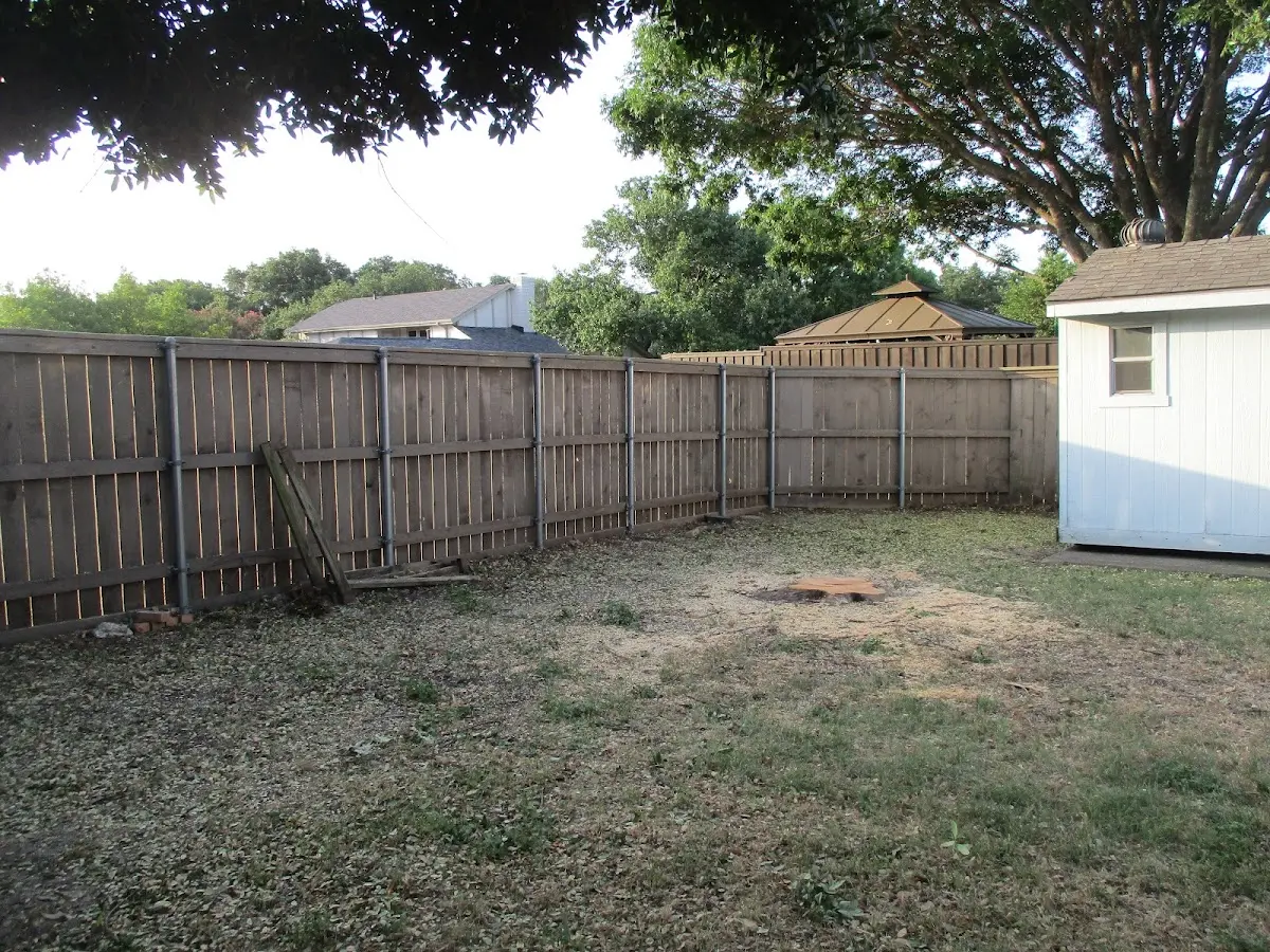 Cleared yard after professional tree removal in Mansfield Depot